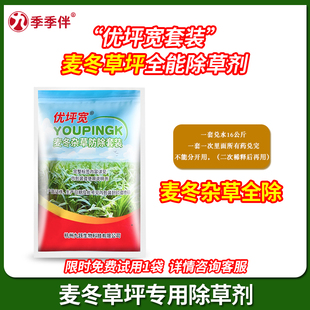 麦冬除草剂狗尾草马唐水花生香附子一年生莎草麦冬草坪除杂草农药