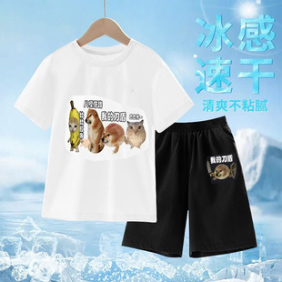 我的刀盾狗衣服恶搞笑抽象纯棉短袖t恤短裤套装2026夏季儿童衣服