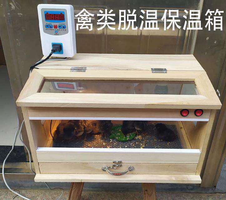 小鸡保温箱家用冬眠亚克力门耐用饲养小号鹦鹉观察窗智能育雏保暖