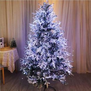 Christmas tree LED Fairy Lights,String Lights decorations