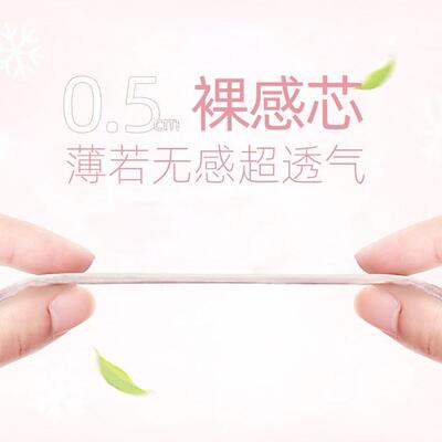 pet physiological diaper teddy menstruation狗生理纸尿裤经期