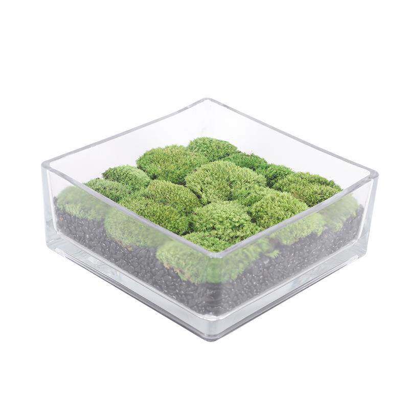 新中式仿真植物永生苔藓玻璃花器桌面装饰品家居客厅餐桌室内摆件