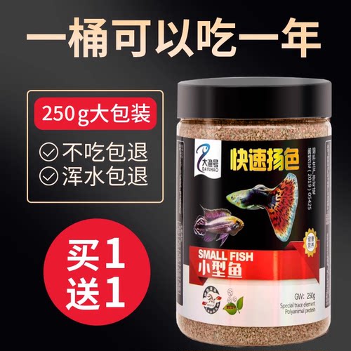 适用鳑鲏灯科斗鱼马口孔雀小型鱼