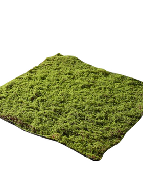野花仿真假苔藓皮造景布置草皮