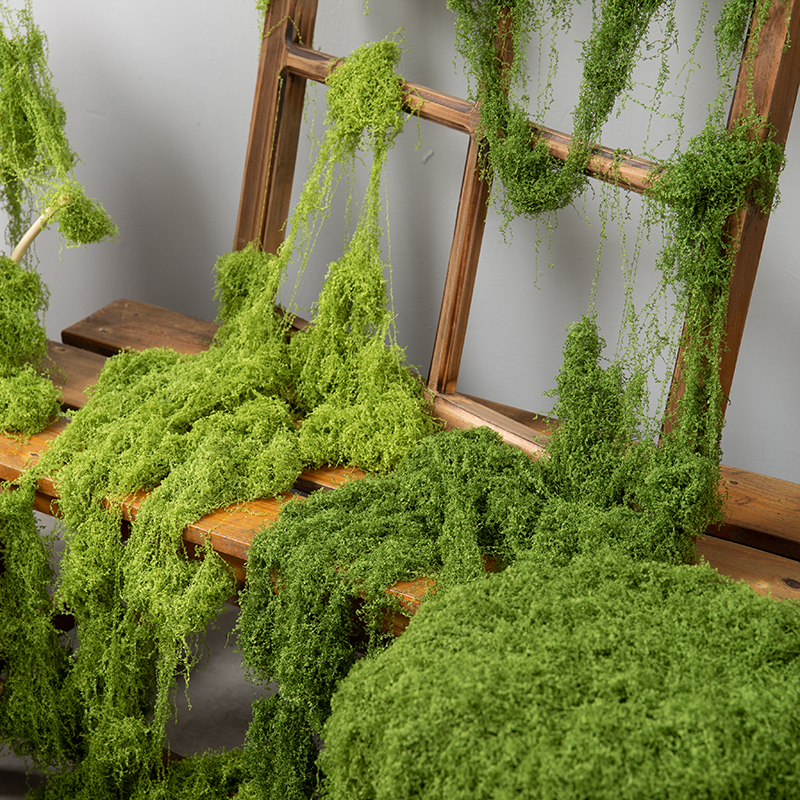 彷真苔藓绿植桌面微景观产品拍照森林场景布置摄影道具造景青苔