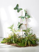 模拟丛林绿色植物景观蝴蝶窗软装 饰彷生苔藓蕨类叶景观流行照片背