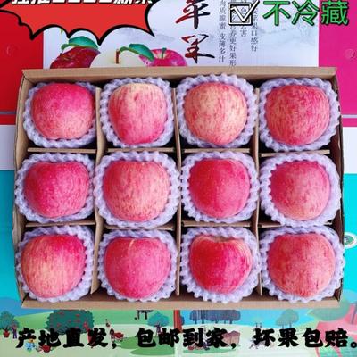 甘肃省秦安苹果脆甜多汁产地直发