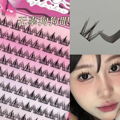 自然新手上镜免胶六排无梗眼睫毛