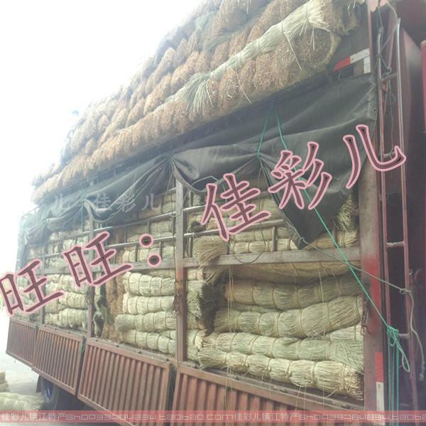 新草香草绑大闸蟹扎螃蟹香草绳子捆粽子香草越南进口纯天然香草绳