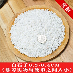 四川白色石子石头鹅卵石庭院铺路铺地阳台室内装饰砾石小白石子