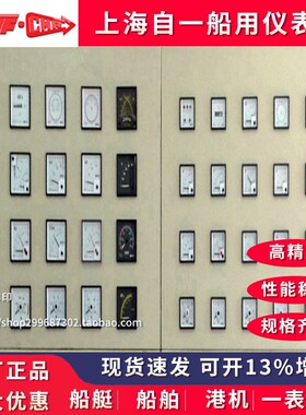 上海自一船用仪表厂Q72/Q96/Q144-MA/-ZMA交流电网绝缘监测仪