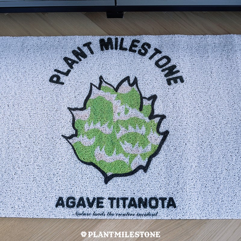 块根龙舌兰黑王丸植物架防滑丝圈地垫入户垫门口蹭土脚垫免洗地毯