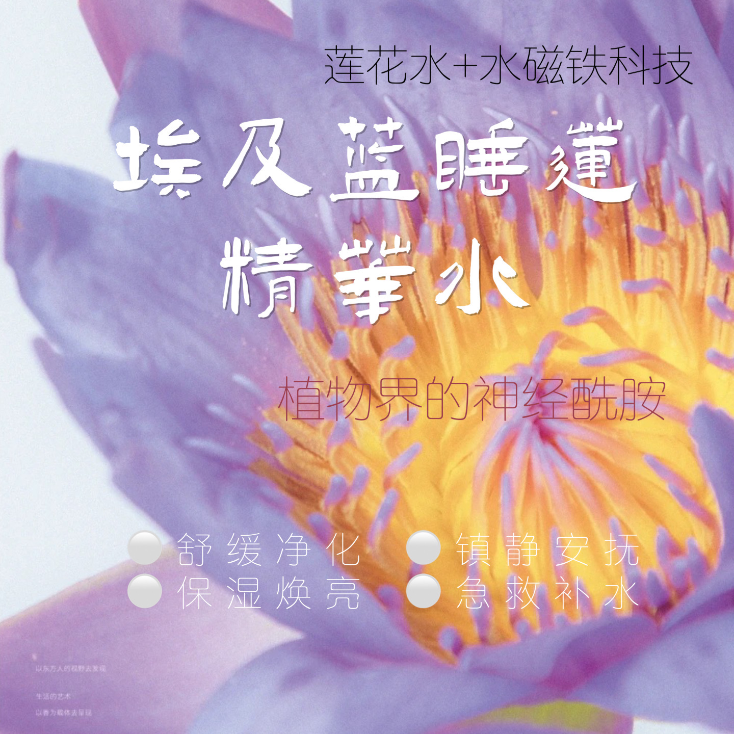 埃及蓝莲花干皮续命水补水界巨咖焕活肌底强化舒缓保湿细腻光滑