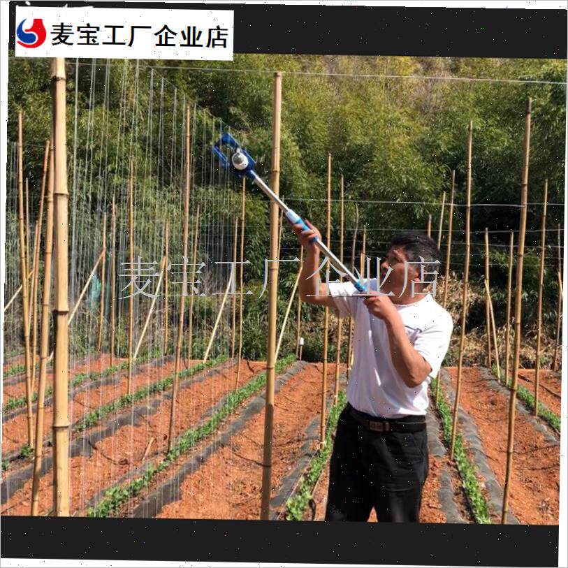 动绑绳线挂绳器四季豆挂线神器B荚豆豌豆角荷兰豆黄瓜豇豆爬藤器\
