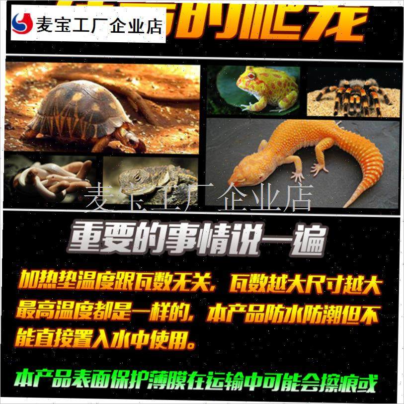 虫加热垫爬宠乌龟蜥蜴守宫蛇温控刺猬仓鼠宠物加U热片加温保温片\,宠物/宠物食品及用品,爬宠缸/箱,淘宝优惠券,粉丝福利购,淘宝优惠卷