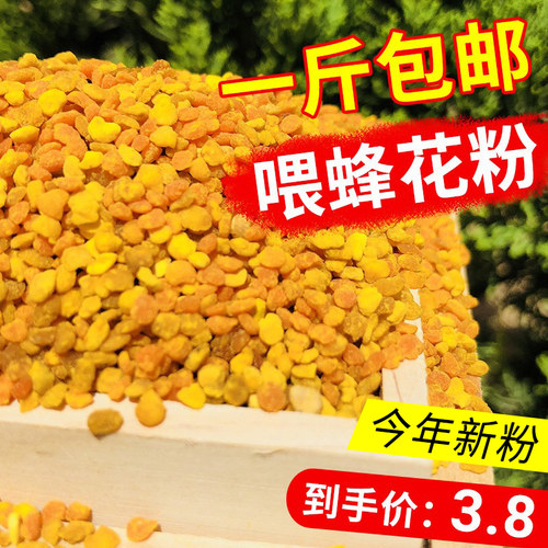 花粉包邮蜜蜂饲料正品油菜