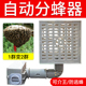 中蜂自动分蜂器蜂箱巢门多功能蜜蜂收王器介王囚蜂王笼防逃框蜂具
