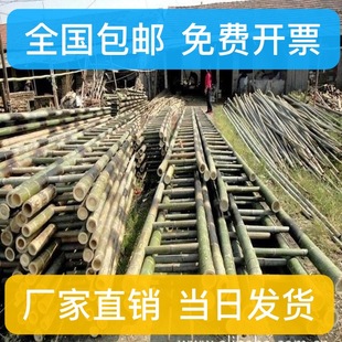 包邮 竹梯子2米3米4米5米6米全绝缘工程电力直梯幼儿园7米8米9米 啊