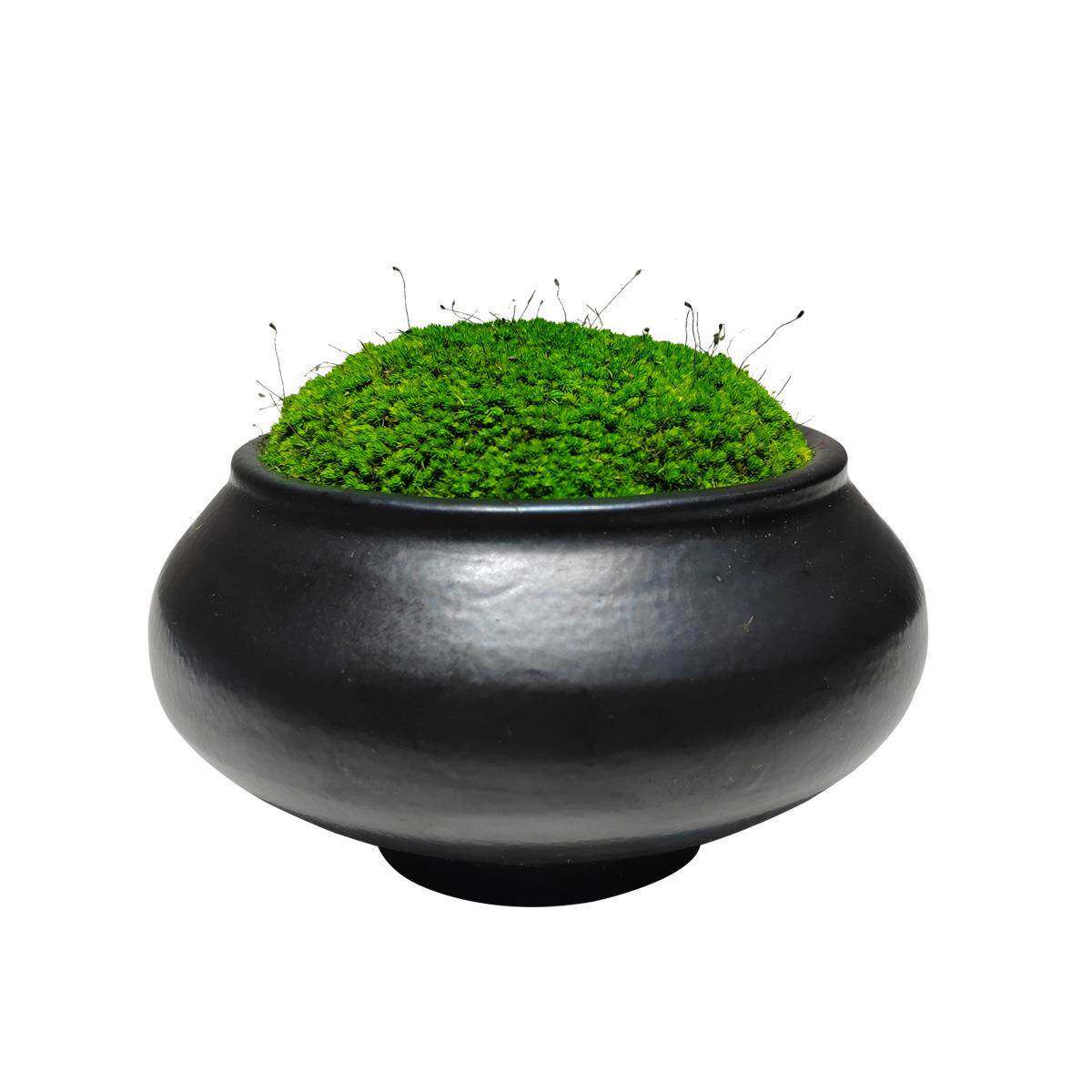 永生苔藓陶瓷花器盆景微景观新中式酒店售楼处餐桌摆件花艺工艺品