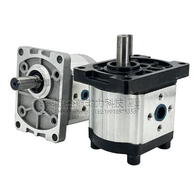 CBN齿轮泵CBN-F316CBT液压泵F304F306F310F312F325油泵高压