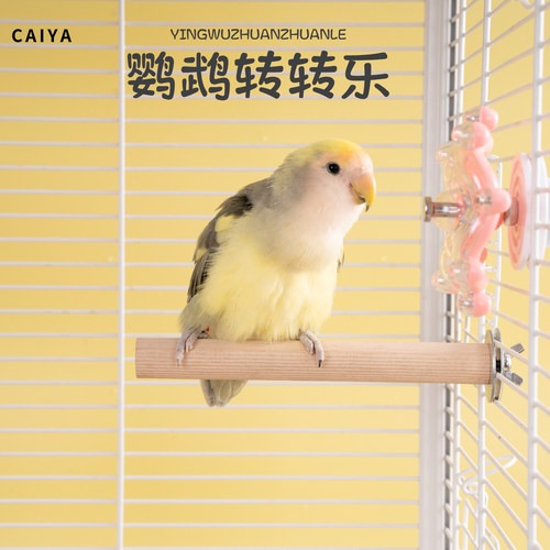 菜芽宠物啃咬旋转飞碟转转乐