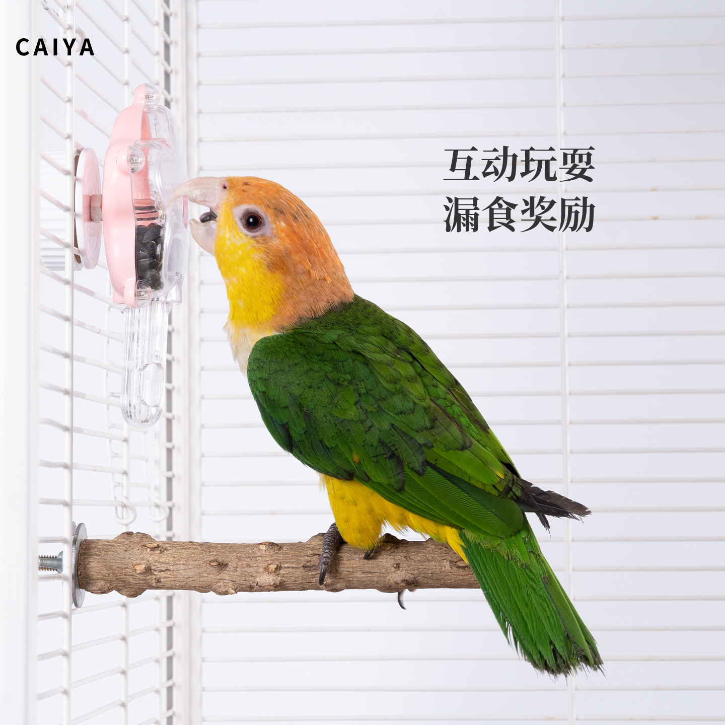 caiya鹦鹉玩具漏食奖励互动解闷