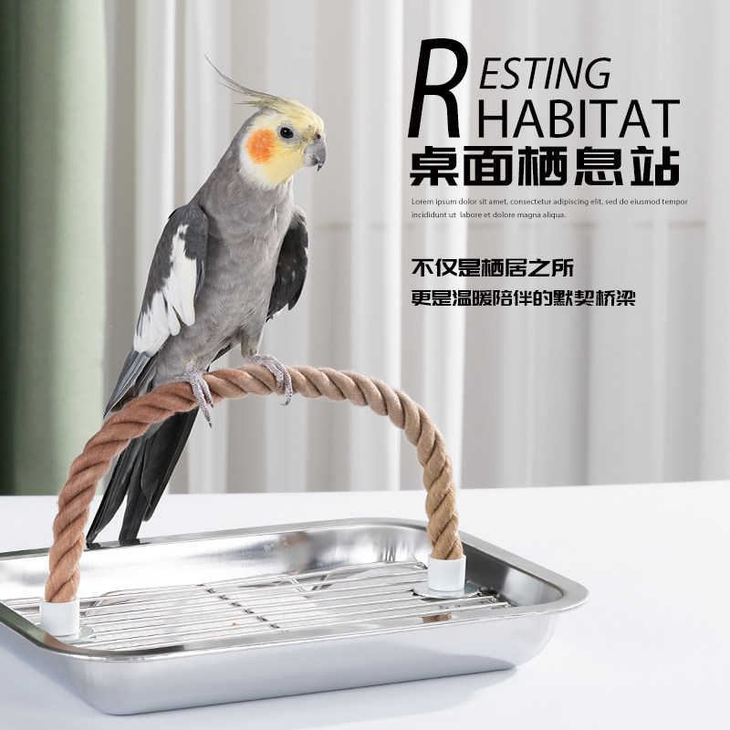 CAIYA鹦鹉站架定点排便鸟架站杆图片