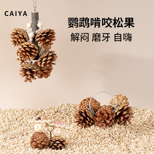 鹦鹉啃咬串松果磨牙挂件虎皮牡丹和尚专用鸟玩具鸟笼装饰用品大全 - 封面