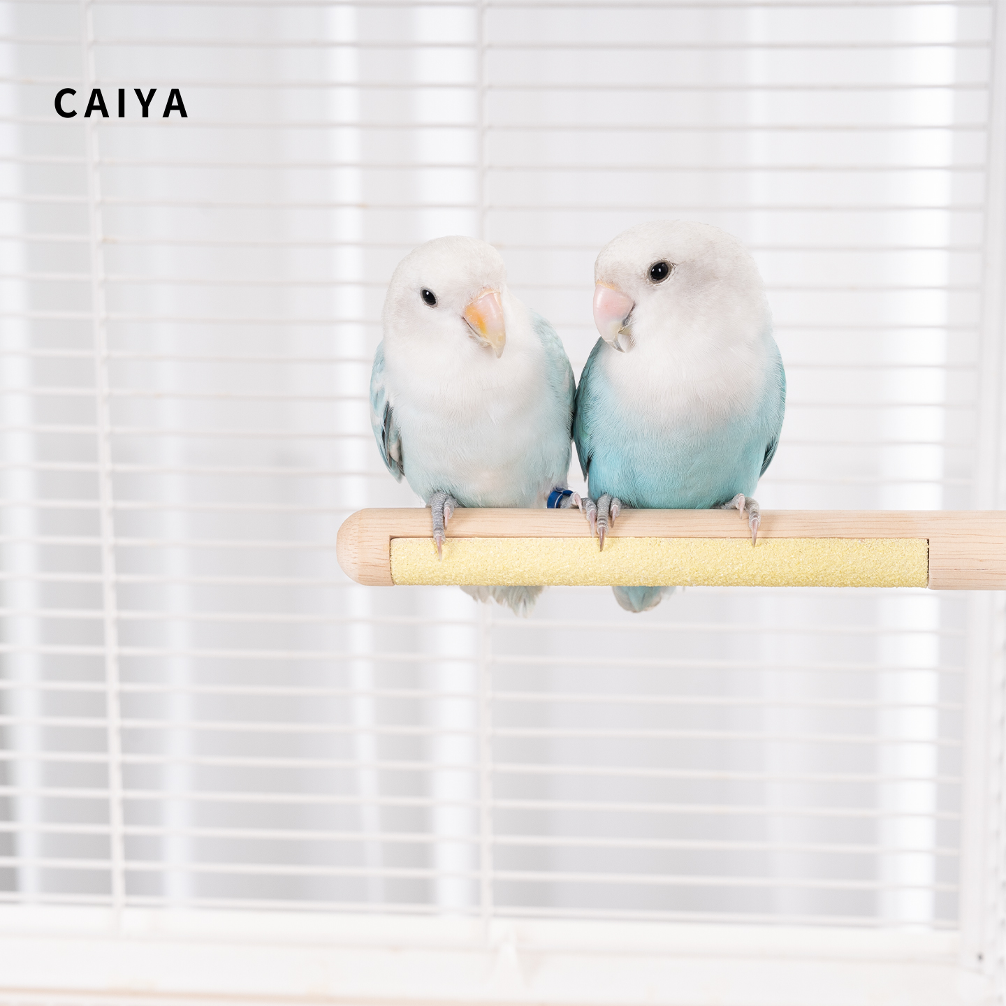 CAIYA双拼磨爪站杆啃咬