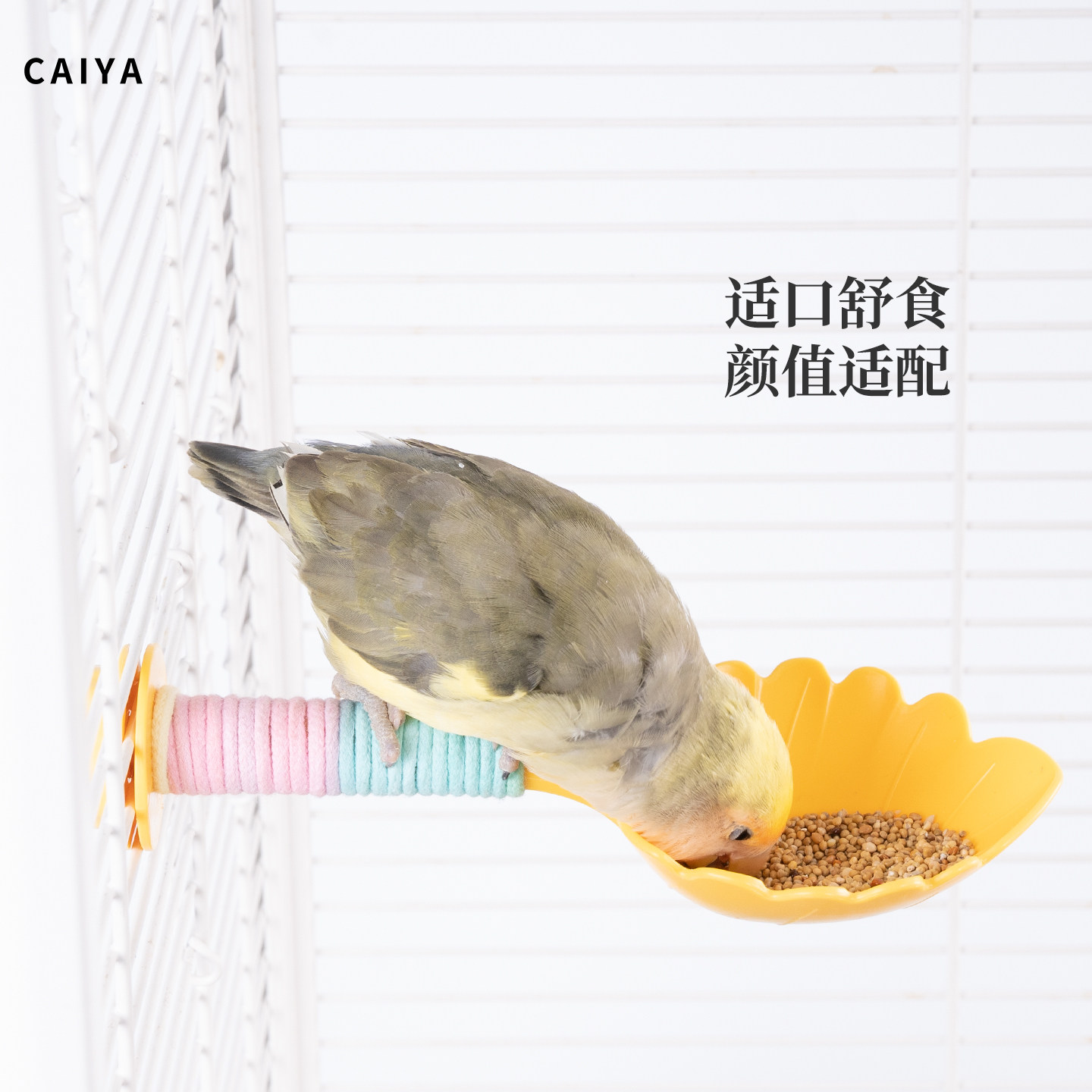 caiya鹦鹉挂式食碗站杆喂食器