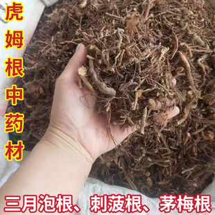 虎姆根干货三月泡根 刺波根茅梅根茅莓根红梅消根  蛇泡筋 中药材