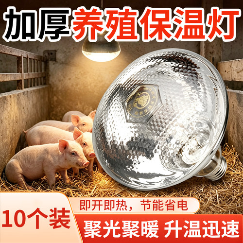 猪博士小猪养殖保温灯养殖场专用小鸡育雏加热取暖灯泡畜牧烤灯