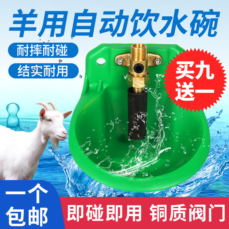 羊用饮水碗铜阀饮水器羊自动饮水器羊喂水喝水碗羊饮水槽养羊设备