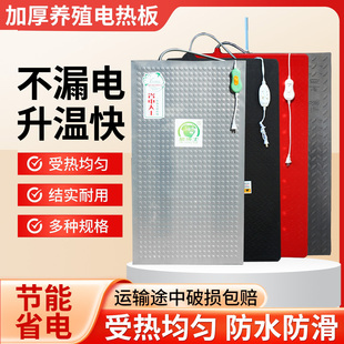仔猪用电热板兽用不锈钢电热加热板母猪养殖场产床取暖发热保温板
