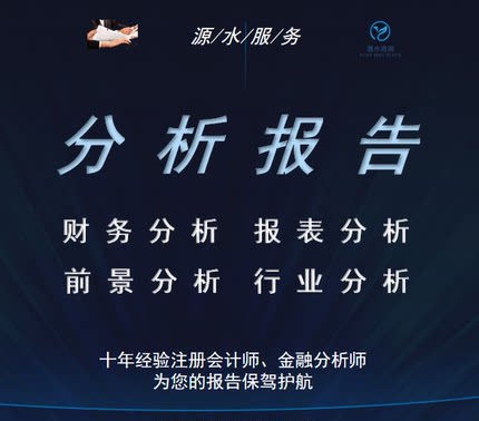财务分析报告代写数据分析上市公司报表行业调研咨询前景提供会计