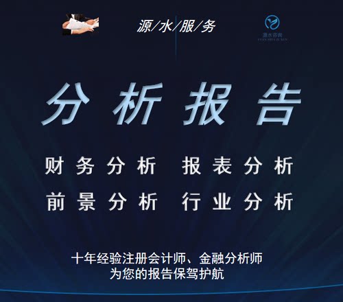 财务分析报告代写数据分析上市公司报表行业调研咨询前景提供会计