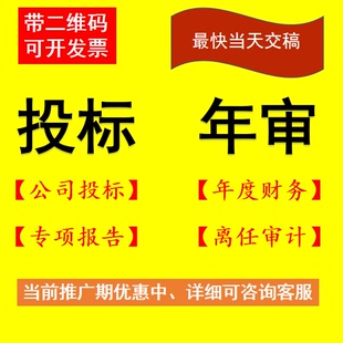 审计咨询投标年度年审报告公司财务报表验资专项年检高新资产评估