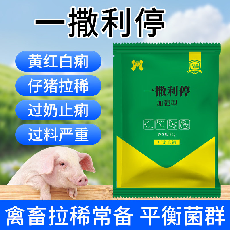 一撒利停兽用仔猪下痢腹泻调节肠道黄白痢过奶止痢一撒停畜禽通用,畜牧/养殖物资,饲料添加剂,淘宝优惠券,粉丝福利购,淘宝优惠卷