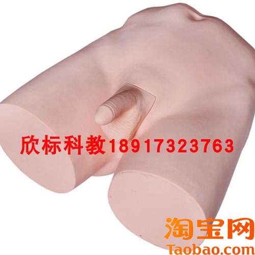 输精管结扎术训i练模型护士培训结扎术训练模型教学结扎术模型