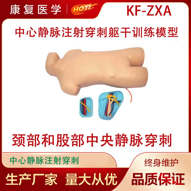 静脉穿刺骨穿刺医院培训医学模y型 中心静脉注射穿刺躯干训练模型
