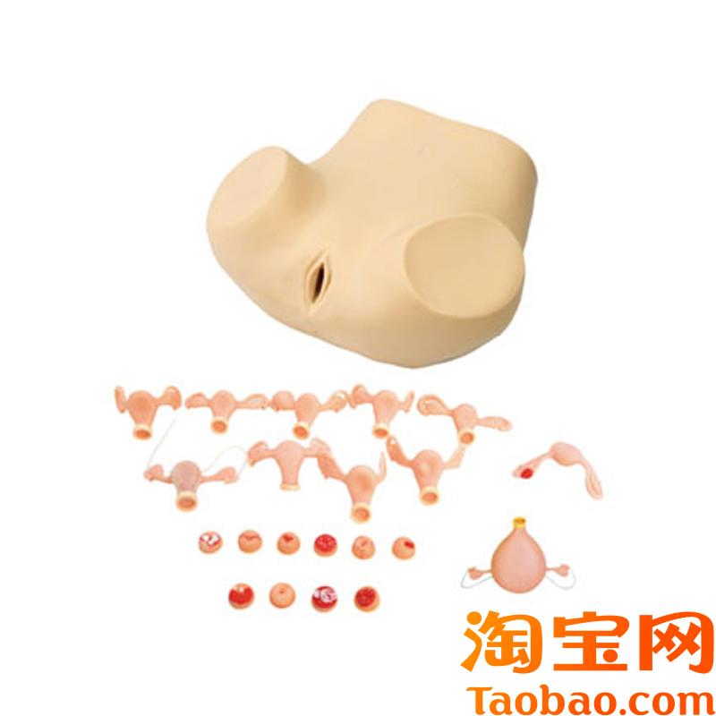 原装适用高级妇科综合检查训练模型腹腔镜检查及妇婴训练模型子宫