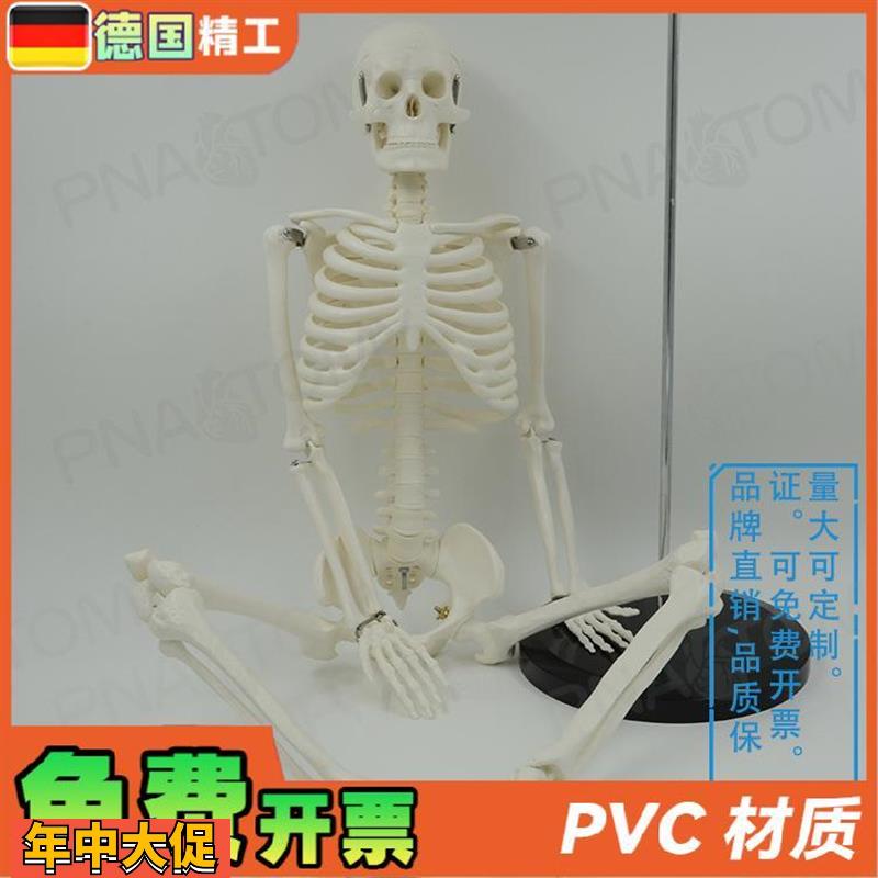 德国】85cm人体全身骨骼模型可活动可拆卸小白瑜伽正骨疼痛科骨
