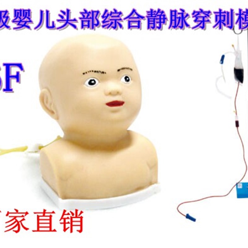 医学模型 医院培训模型 高级婴儿静脉穿刺 头部综U合静脉穿刺模型