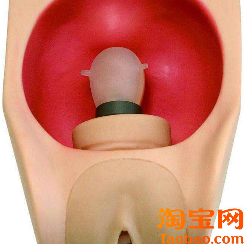 高级女性避孕训练模型女y性避孕练习模型计生教育模型