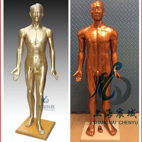 超清晰经络通针灸铜人 人体穴位P模型中医针灸人模
