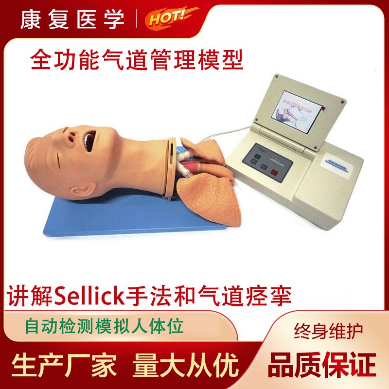 全功能气道管理模型气管插管训练模型Sellick手Y法和气道痉挛