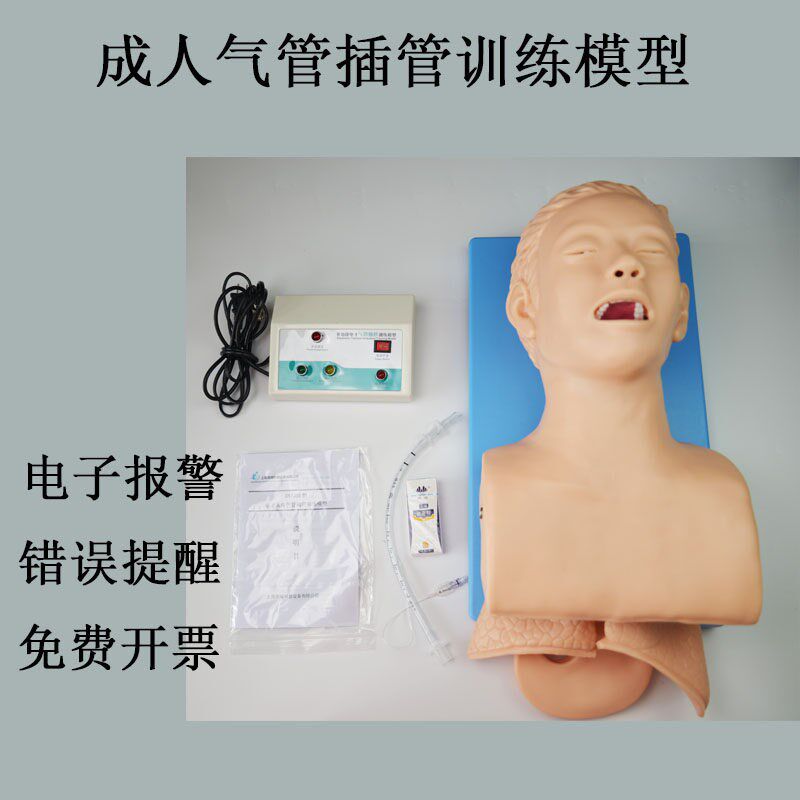 实训人体气管插管训练模型 带电子牙齿报警 成人S急救训练教学模