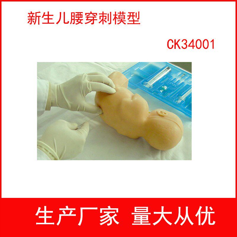 新生儿腰穿刺模型新生儿腰椎穿刺仿真模型,婴儿T腰椎穿刺训练模型