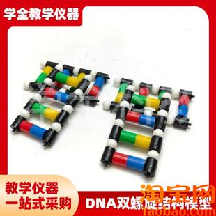 DNA双螺旋结构模型分子结v构模型脱氧核苷酸链碱基对遗传染色体
