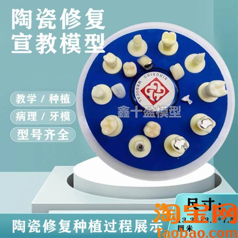 牙齿模型口腔教学陶瓷10*1x仿真修复治疗过程种植根管病理医患沟